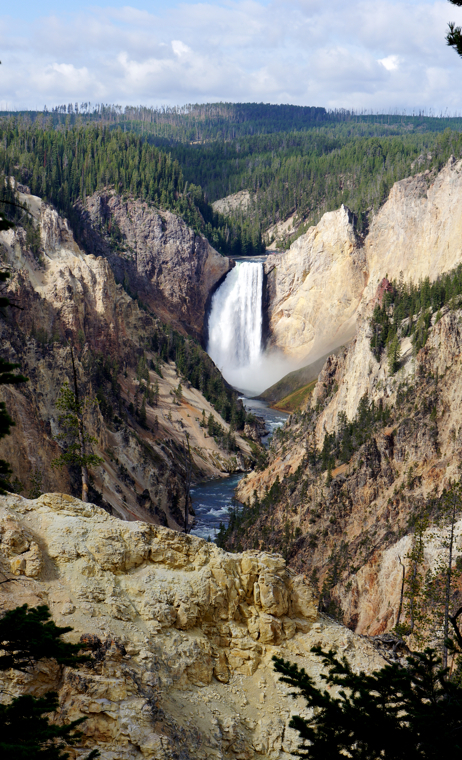 The Lower Falls of the Grand Canyon of Yellowstone